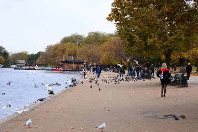 DSC_0638 (Large).JPG